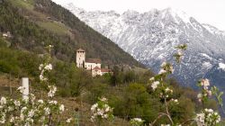 Suedtirol_04_2023-59